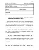 Evidencia Final Ideas para creación de empresas