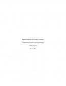 Tarea_1 fundamentos de la prevencion.