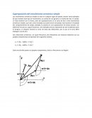 Fisica. oscilacion.