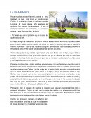 Estructura del cromosoma.