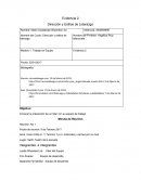 Dirección y estilos de liderazgo. Evidencia 2