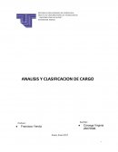 ANALISIS Y CLASIFICACION DE CARGO