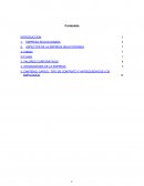 FORMULACION DE ROYECTOS.