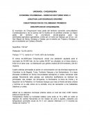CARACTERIZACION DE COLOMBIANO PROMEDIO DESCRIPCION DE CHIQUINQUIRA