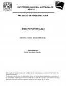 Este capítulo hace énfasis a la belleza de la naturaleza y a como el hombre le ha dado la espalda.