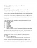 Identificación de las Etapas del proceso de negociación en la película “LA GRAN ESTAFA”