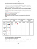 Actividades de nutricion. Describan la alimentación de uno de sus compañeros