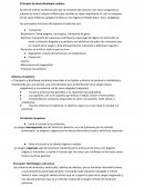 GENERALIDADES DEL SISTEMA CARDIOVASCULARю