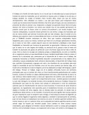 RESUMEN TRANSFORMACION DEL MONO A HOMBRE.