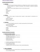 Perfil de egreso Nivel Inicial 4.