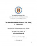 Estudio de las variables en pruebas de sedimentacion en botellas