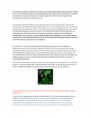 Calculo determinantes.