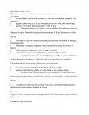 Actividades de periodo adaptacion