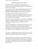 Desaprendiendo de las vegas.