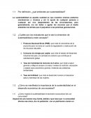 Por definición, ¿qué entiendes por sustentabilidad?