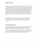 Impacto de la basura