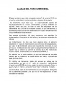 Causas Del Paro Camionero.