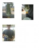 Inf. de experimento.