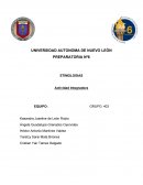 Actividad de Organización y Jerarquización Etapa 2 Etimologias.