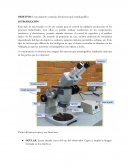 OBJETIVO: Conocimiento y manejo del microscopio metalográfico.
