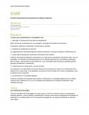 Concilio Internacional de Asociaciones de Diseño Industrial