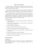 Teoria del apredizaje.