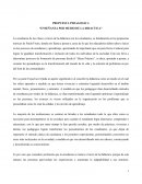 PROPUESTA PEDAGOGICA.