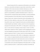 Estuctura del ADN.