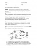 VISITA AL MUSEO DE CIENCIAS NATURALES.