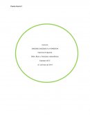 Rises, riles y emisiones atmosfericas.