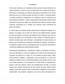 La pianista, tema del masoquismo basado en la película