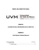 Ensayo Matria Ética Profesional UVM.