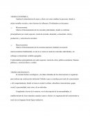 Teorias de Comportamiento.