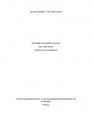 CENTRO AGROINDUSTRIAL Y FORTALECIMIENTO EMPRESARIAL DE CASANARE SALSAS MADRES Y SUS DERIVADOS