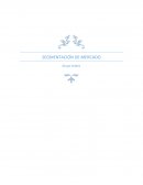 SEGMENTACIÓN DE MERCADO Grupo Inditex