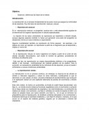 Observar y diferenciar las fases de la mitosis