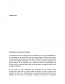 El principio de construcción ligera