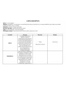 Carta descriptiva.