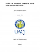 Proyecto de Innovaciones Pedagógicas (Nuevas formas de enseñanza-aprendizaje)