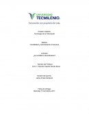 Caso Bikor. Actividad ¿Es rentable la diversificacion