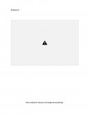 Universidad de Valencia. Estrategia de marketing.