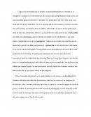 Terminos sonograficos.