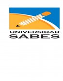 ACTIVIDAD 1: “De Las Deducciones”