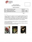 Huamanidades. Ciudadanía y Reflexión Ética