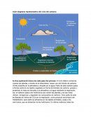 Un diagrama representativo del ciclo del carbono.