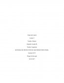 Control semana 7 SISTEMAS DE PROTECCIÓN DE SEGURIDAD INDUSTRIAL