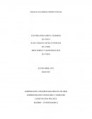 Ensayo acciones constitutivas