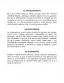 La ariculoterapia