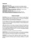 AUDIENCIA DE PRUEBAS.