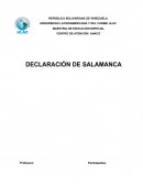 DECLARACIÓN DE SALAMANCA Esta declaración unió a muchos Representantes de los entes gubernamentales internacionales